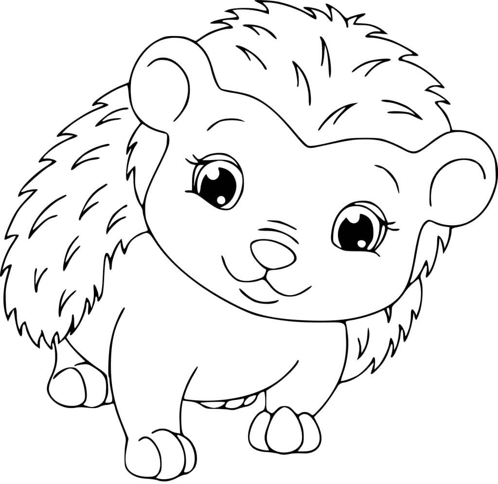 Dibujo de Erizo Sonriente para Colorear y Imprimir