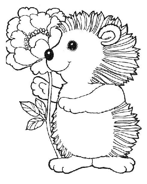 Dibujo de Erizo Sosteniendo Flor para Colorear y Imprimir