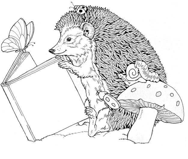 Dibujo de Libro de Lectura de Erizo para Colorear y Imprimir