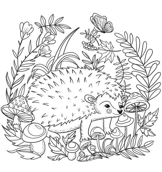 Dibujo de Lindo Erizo Con Hojas y Flores para Colorear y Imprimir