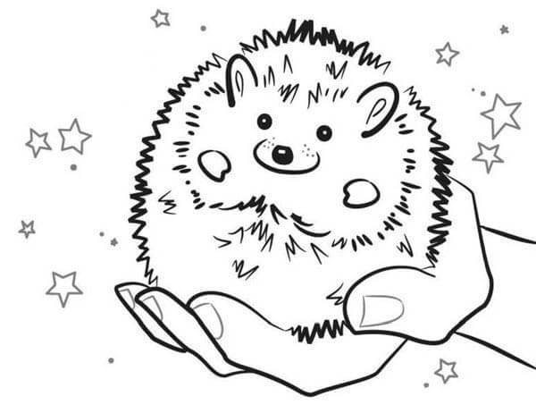 Dibujo de Mano Sosteniendo Erizo para Colorear y Imprimir