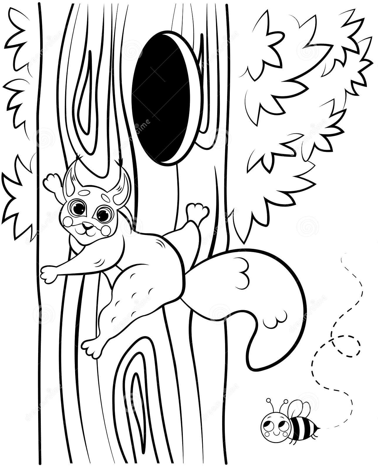 Dibujo de Ardilla Trepando a Un Árbol Cerca Del Hueco para Colorear y Imprimir