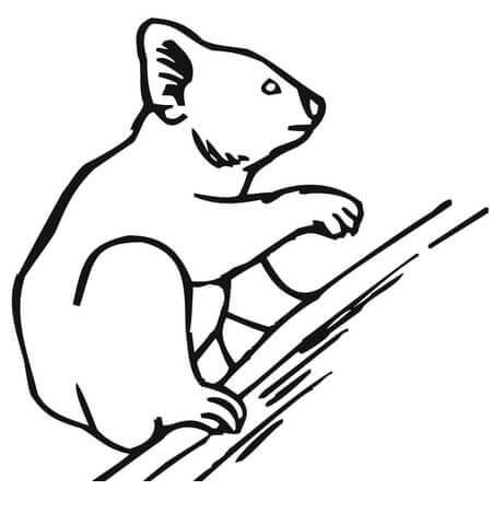 Dibujo de Dibujo de Escalada de Koalas para Colorear y Imprimir