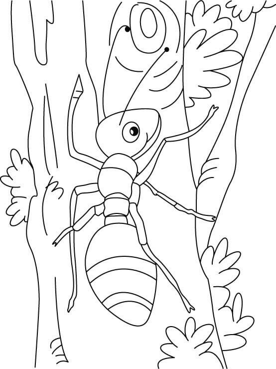 Dibujo de Escalada de Hormigas para Colorear y Imprimir