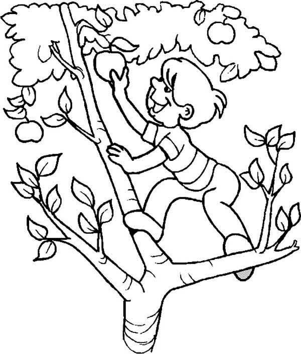 Dibujo de Niño Trepando Árboles para Colorear y Imprimir