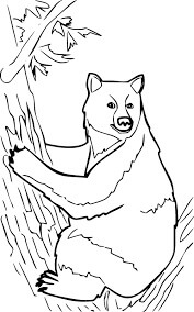 Dibujo de Oso Negro Trepando Al Árbol para Colorear y Imprimir