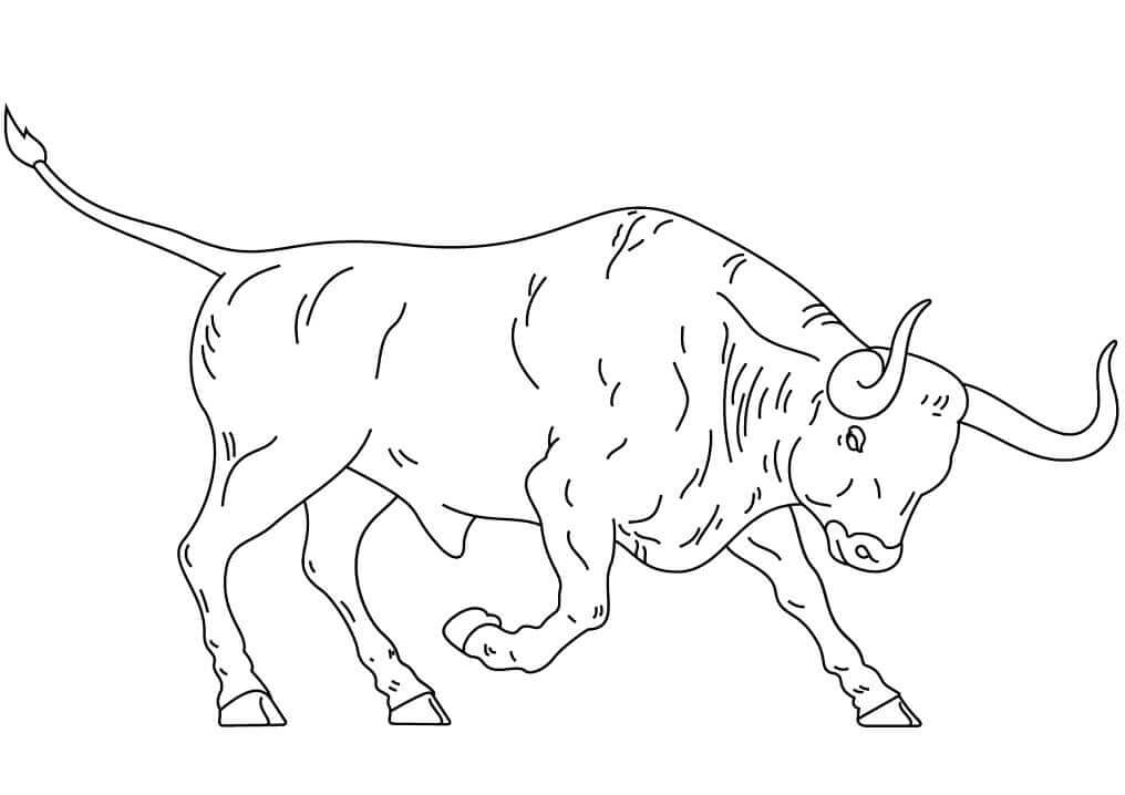 Dibujo de Toro de Lidia Español para Colorear y Imprimir