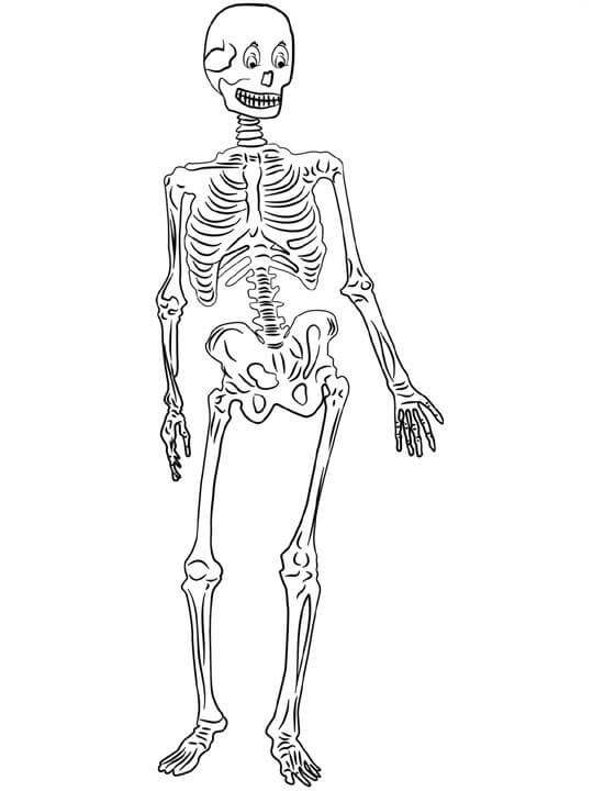 Dibujo de Buen Esqueleto para Colorear y Imprimir