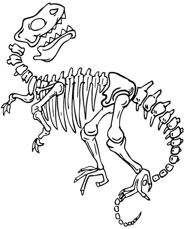 Dibujo de Esqueleto de Dinosaurio para Colorear y Imprimir