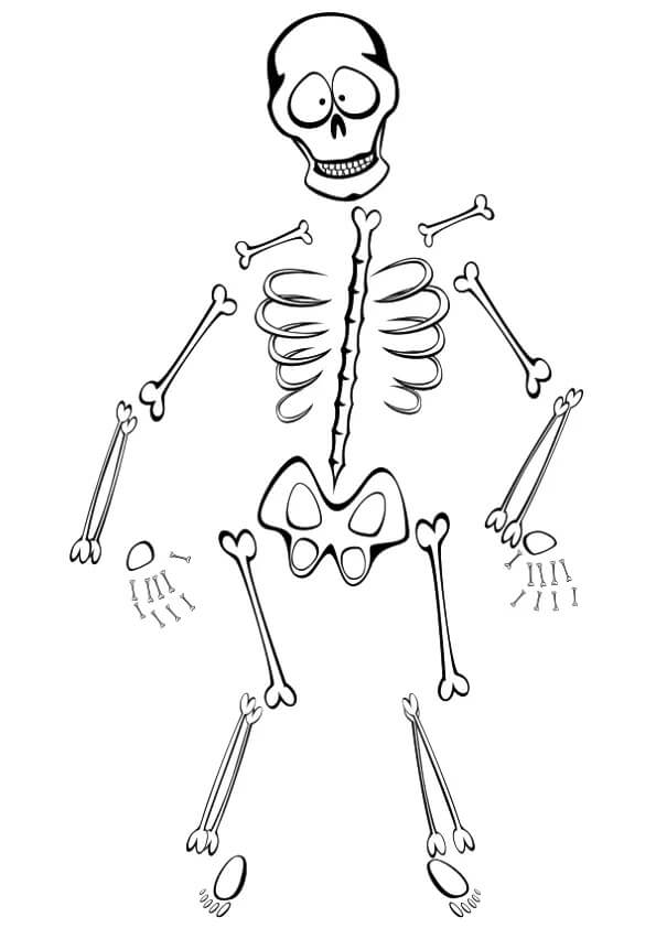 Dibujo de Esqueleto Imprimible para Colorear y Imprimir