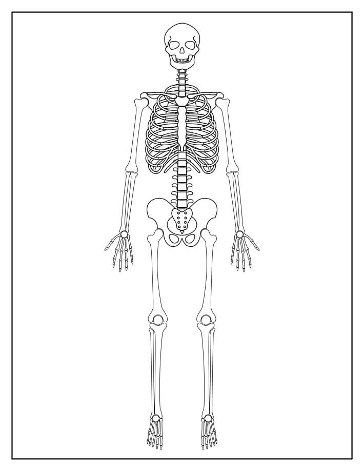 Dibujo de Esqueleto Normal para Colorear y Imprimir