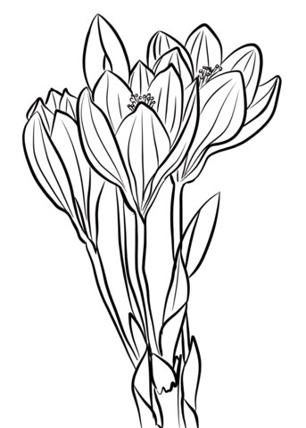 dibujos llamativo en otono para colorear