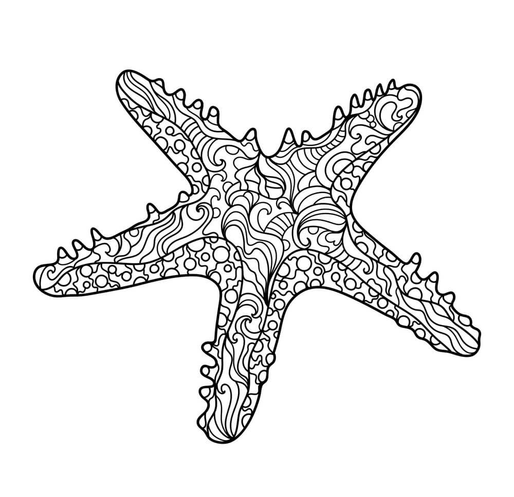 Estrella de Mar para Colorear