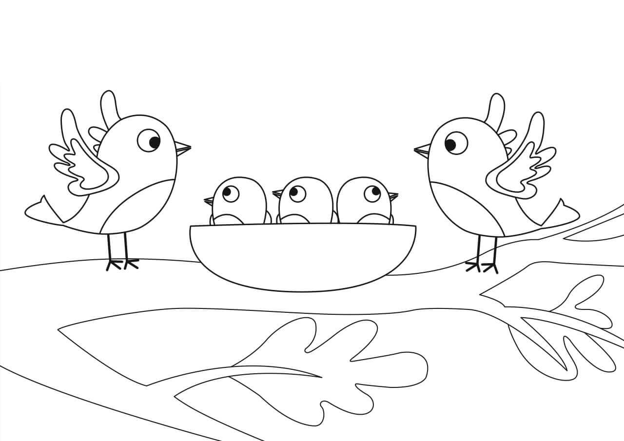 Dibujo de Familia de Aves para Colorear y Imprimir