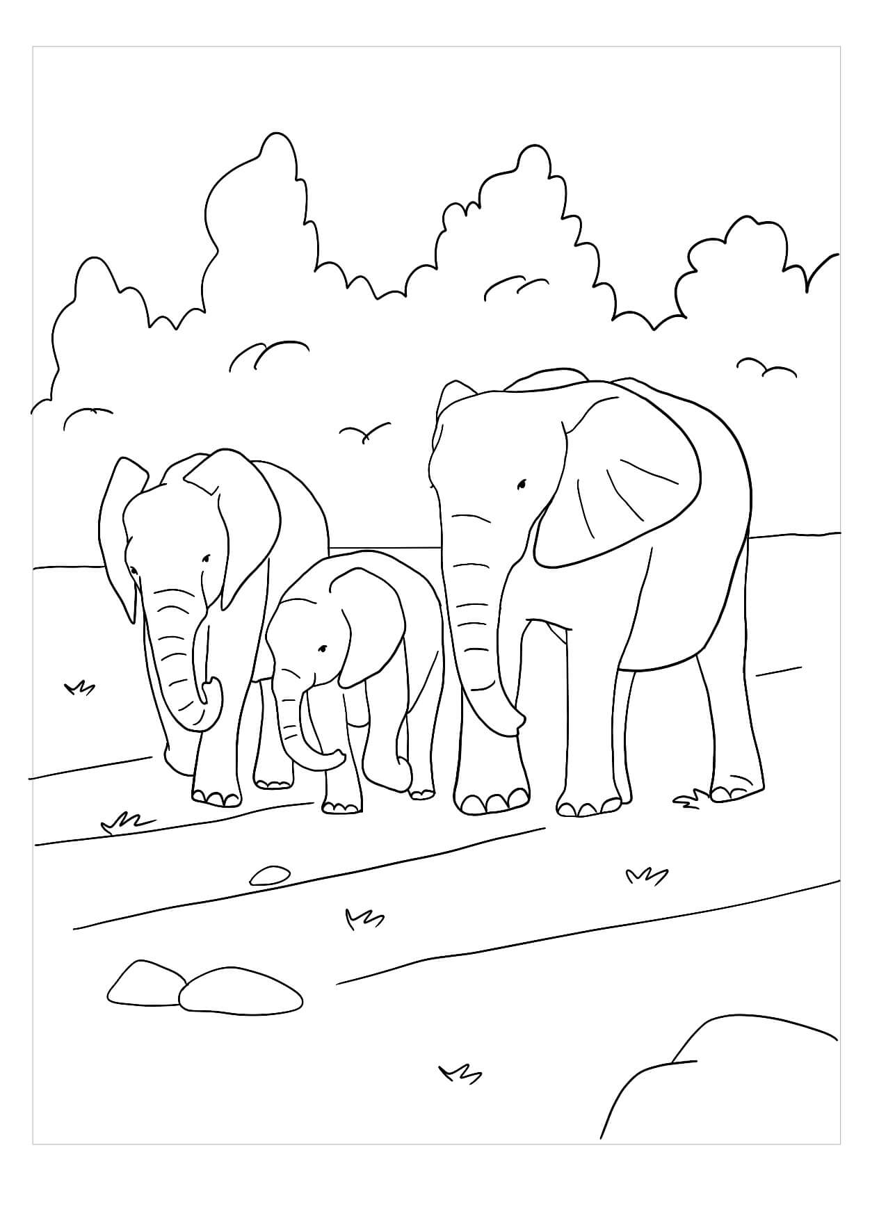 Dibujo de Familia de Elefantes para Colorear y Imprimir