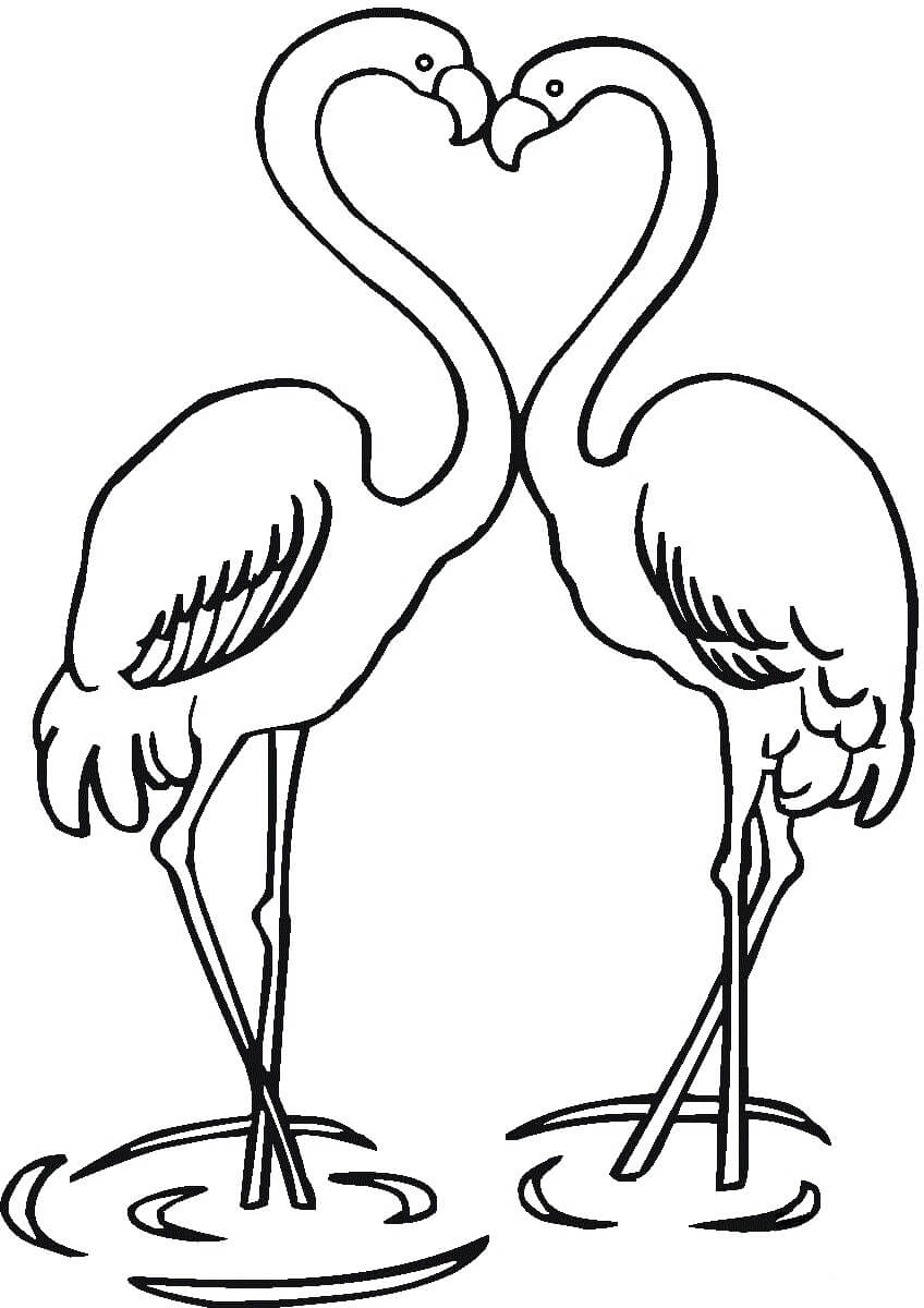 dibujo amor pareja flamencos para colorear