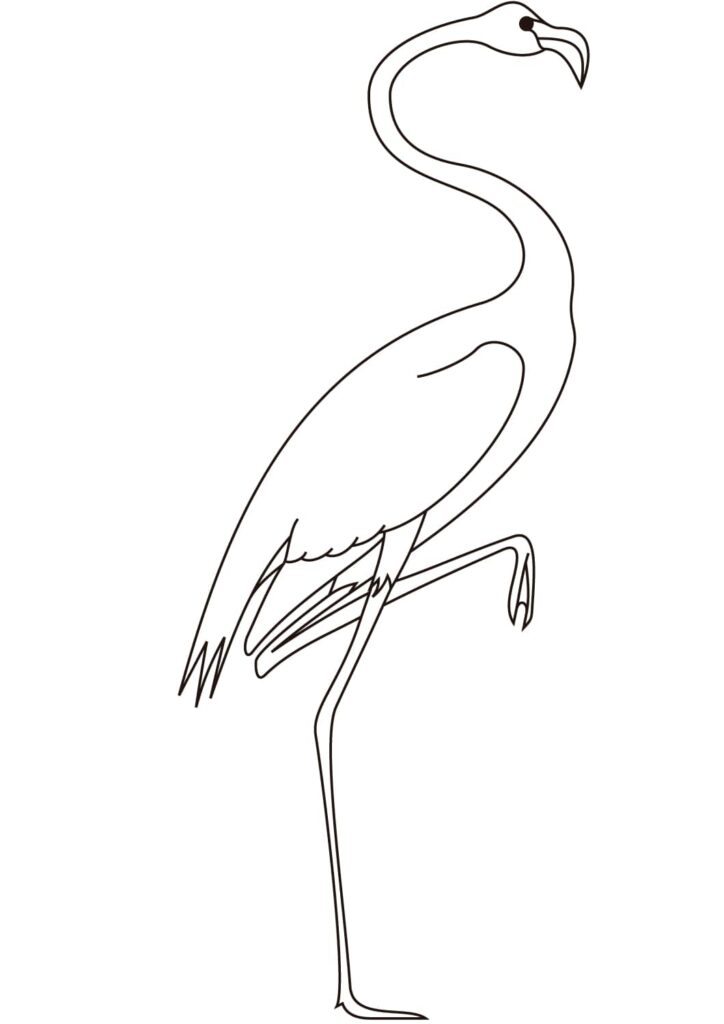 Dibujo Cuadro Hq Flamingo Para Colorear