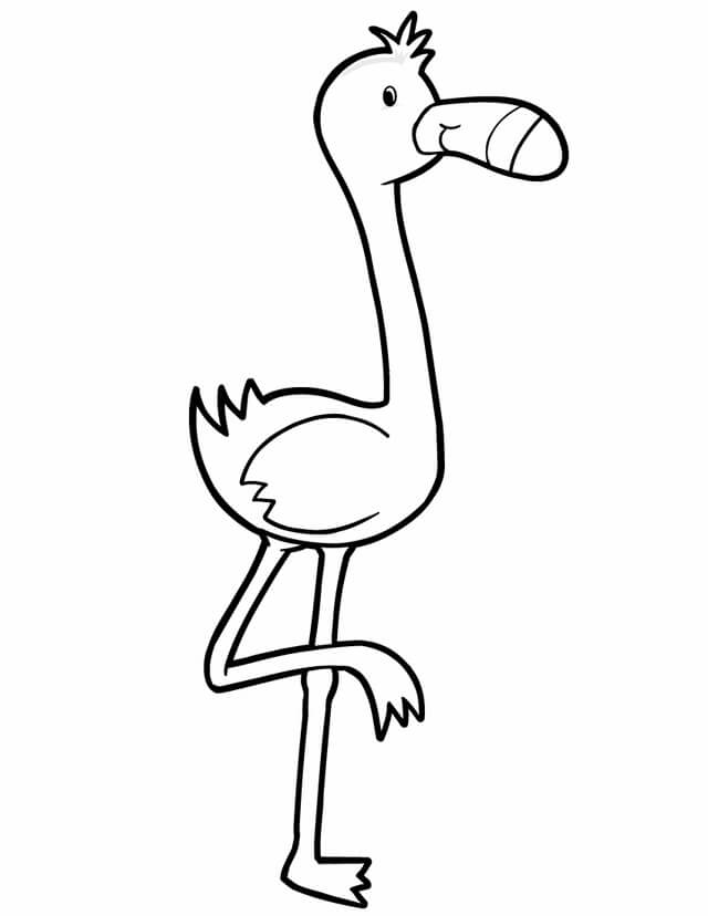 Flamingo para Colorear
