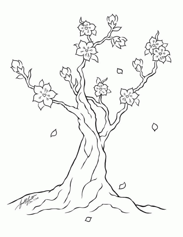 Dibujo de Árbol de Flor de Cerezo Simple para Colorear y Imprimir