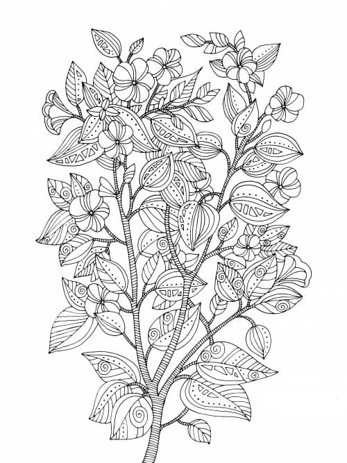 Dibujo de Bonita Flor de Cerezo para Colorear y Imprimir