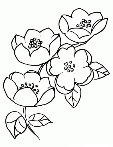 Dibujo de Dibujo de Flor de Cerezo para Colorear y Imprimir
