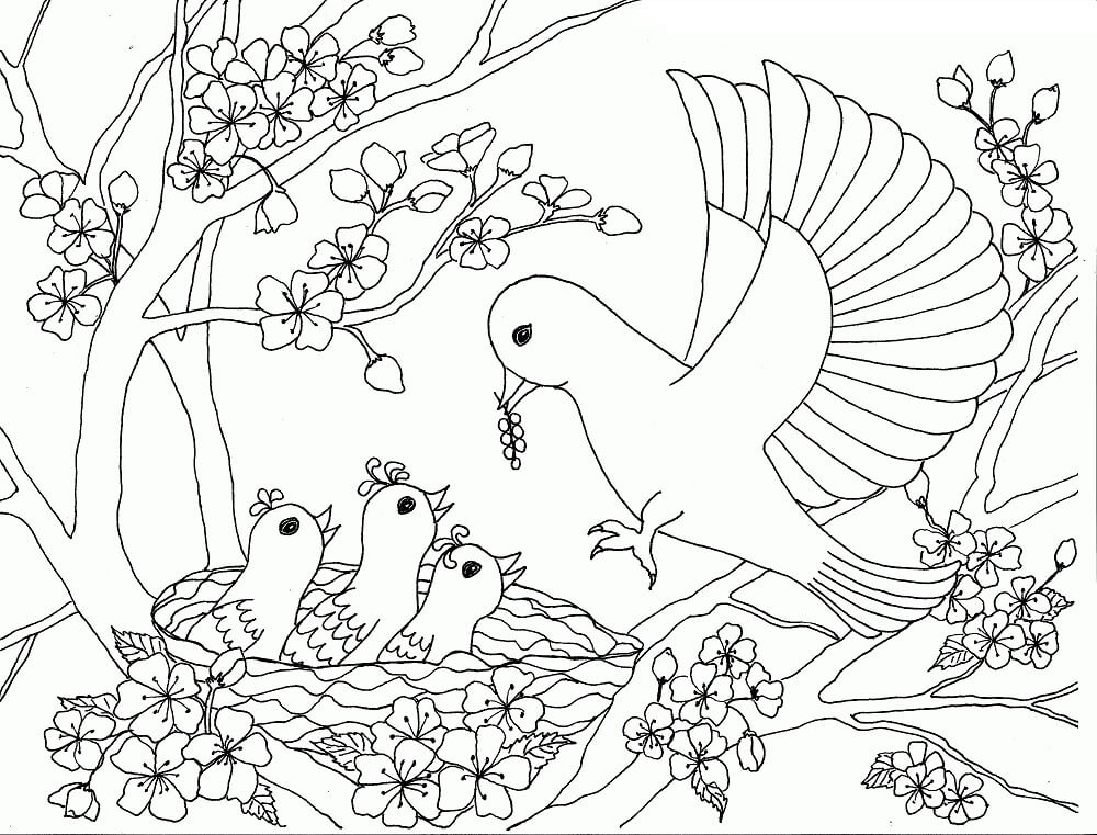 Dibujo de Familia de Aves En El Árbol de Los Cerezos En Flor para Colorear y Imprimir