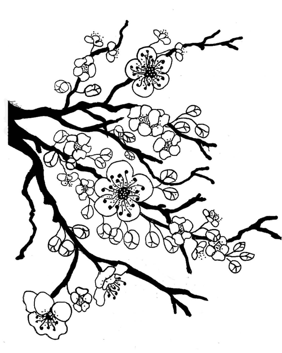Dibujo de Flor de Cerezo Básica para Colorear y Imprimir