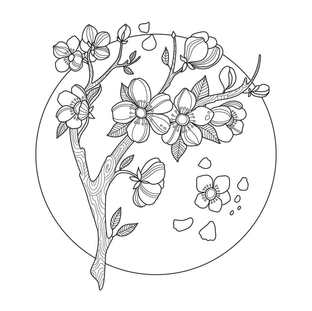 Dibujo de Flor de Cerezo En Círculo para Colorear y Imprimir