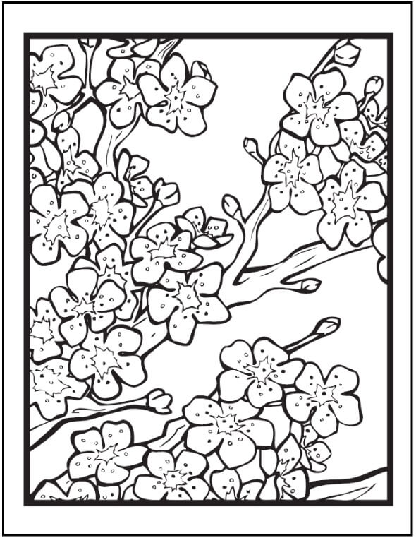 Dibujo de Flor de Cerezo Perfecta para Colorear y Imprimir