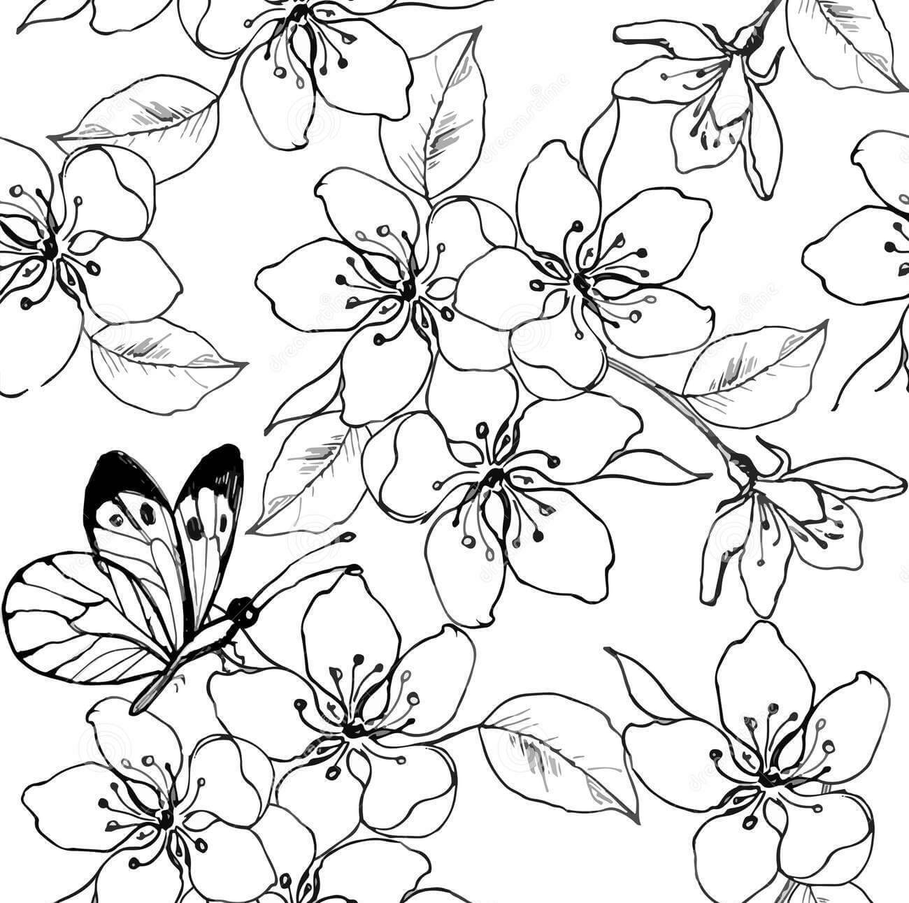Dibujo de Flor de Cerezo y Mariposa para Colorear y Imprimir
