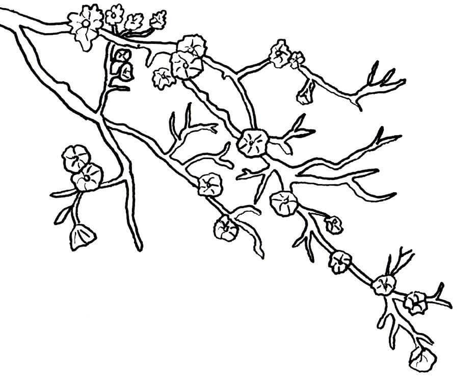 Dibujo de Hermosa Flor de Cerezo para Colorear y Imprimir