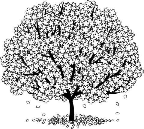 Dibujo de Hermoso Árbol de Flor de Cerezo para Colorear y Imprimir