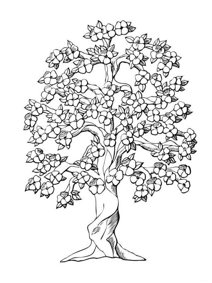 Dibujo de Impresionante Árbol de Cerezos En Flor para Colorear y Imprimir