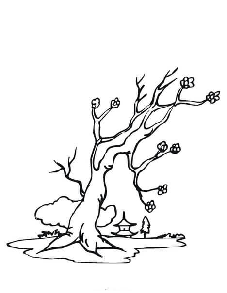 Dibujo de Muerte Del Árbol de Flor de Cerezo para Colorear y Imprimir