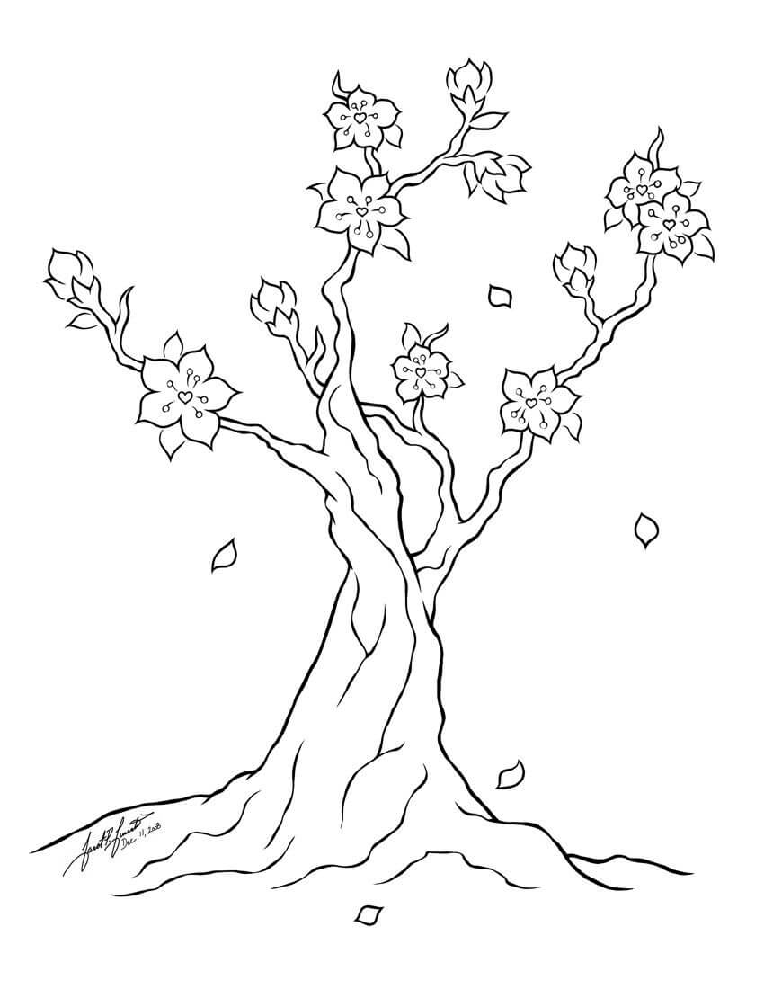 Flor de Cerezo para Colorear