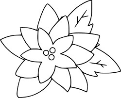 Dibujo de Flor de Pascua 1 para Colorear y Imprimir
