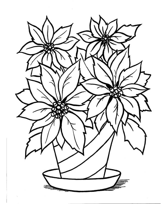 Dibujo de Florero Flor Poinsettia para Colorear y Imprimir