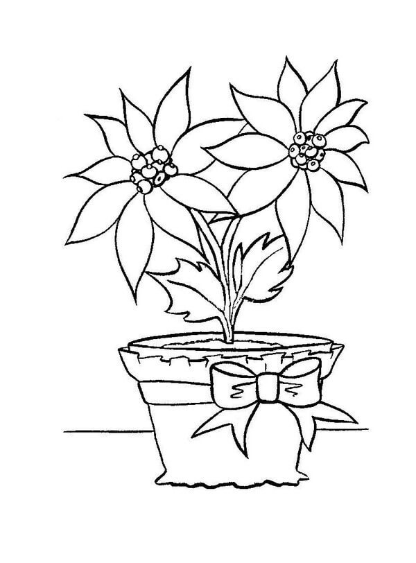 Dibujo de Florero Poinsettia para Colorear y Imprimir