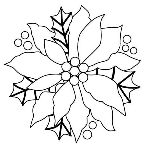 Dibujo de Gran Poinsettia para Colorear y Imprimir