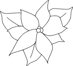 Dibujo de Poinsettia Floreciente para Colorear y Imprimir
