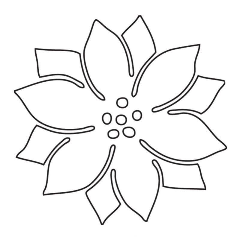 Dibujo de Poinsettia Perfecta para Colorear y Imprimir