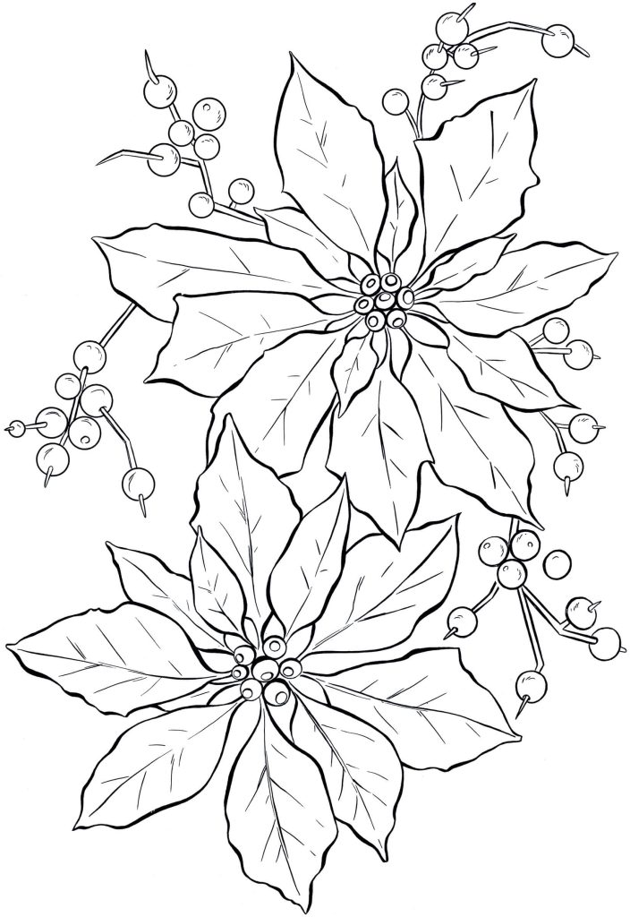 Dibujo de Poinsettia Simple para Colorear y Imprimir
