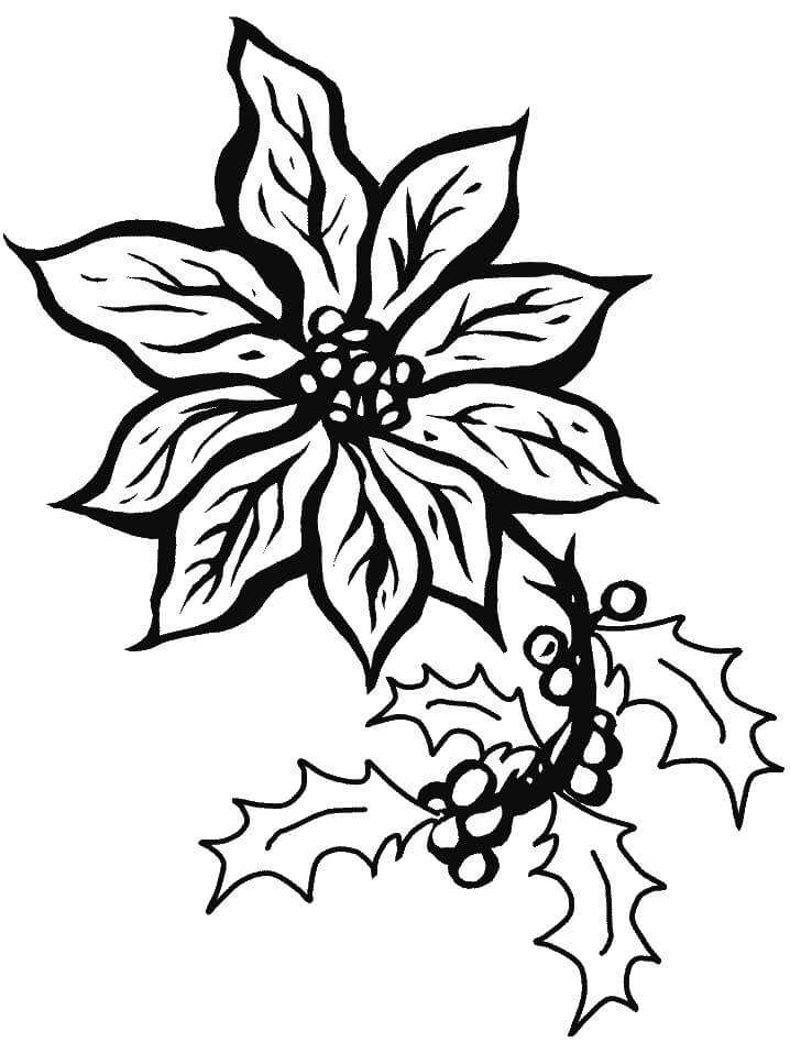 Dibujo de Poinsettia Única para Colorear y Imprimir
