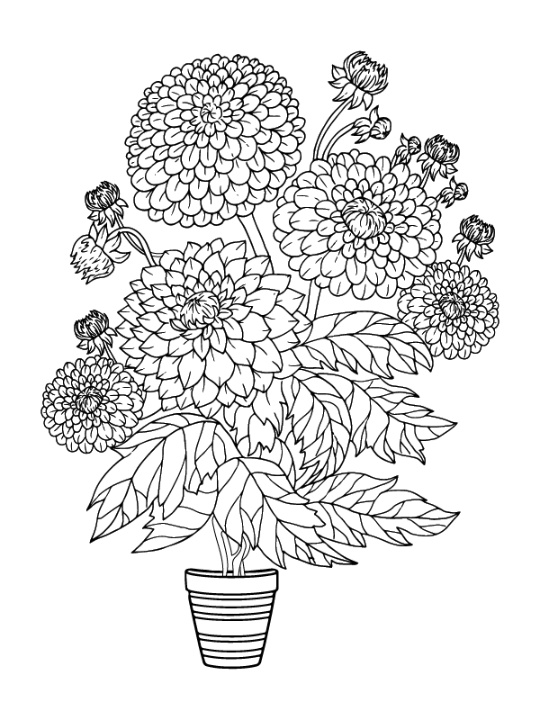 Dibujo de Adult Flower Coloring Pagepng para Colorear y Imprimir