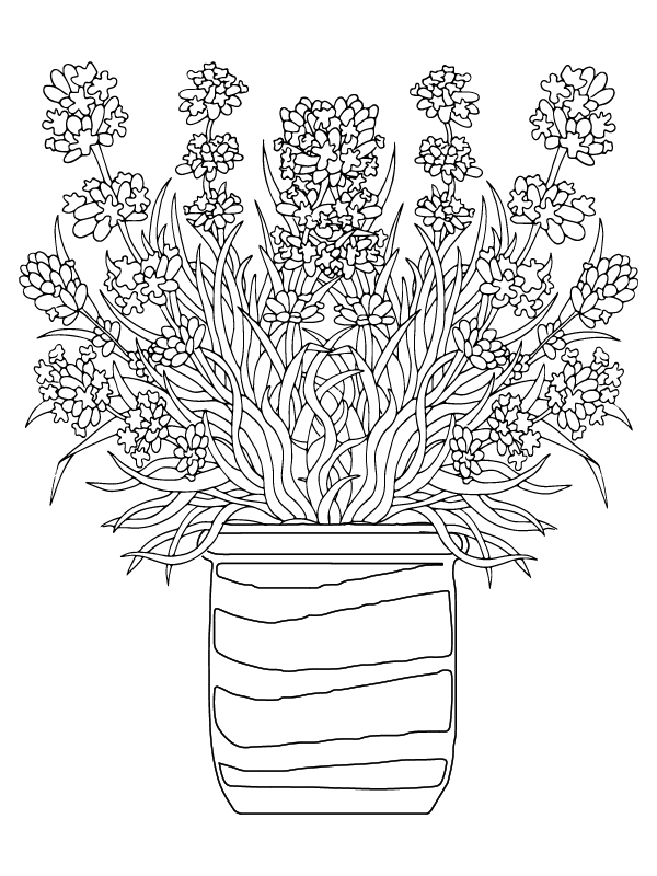 Flor para Adultos para Colorear