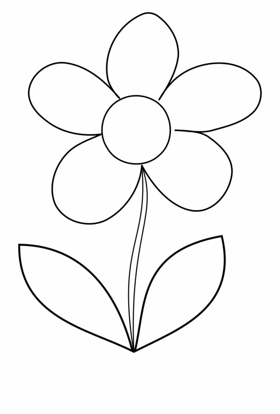 Dibujo de Dibujo Flor Margarita para Colorear y Imprimir