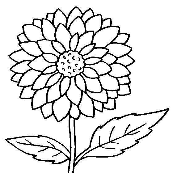 Dibujo de Flor Imprimible para Colorear y Imprimir