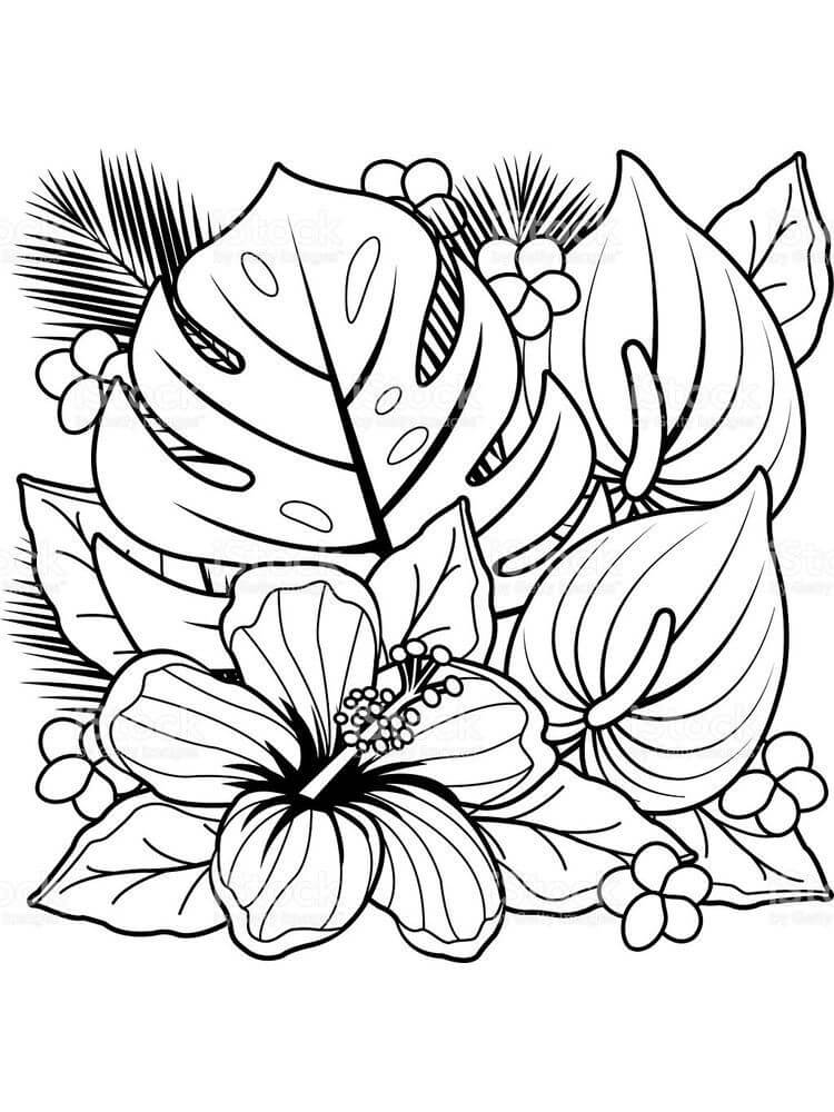 Dibujo de Flor Simple para Colorear y Imprimir