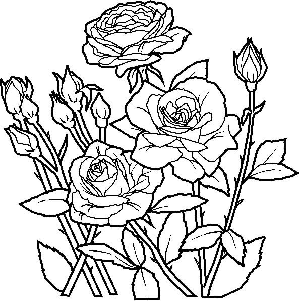 Dibujo de Hermosa Flor 1 para Colorear y Imprimir