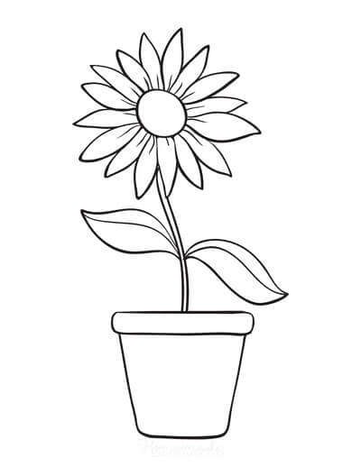 Dibujo de Maceta de Girasol para Colorear y Imprimir